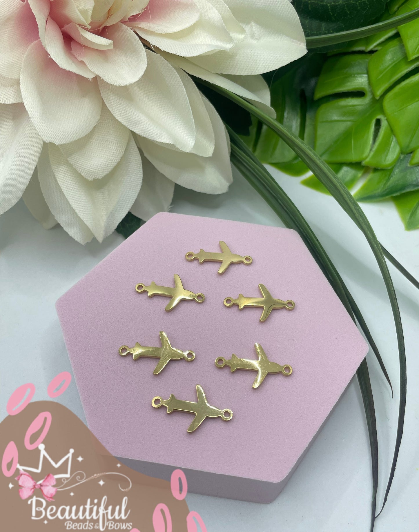 304SS Avión Conector