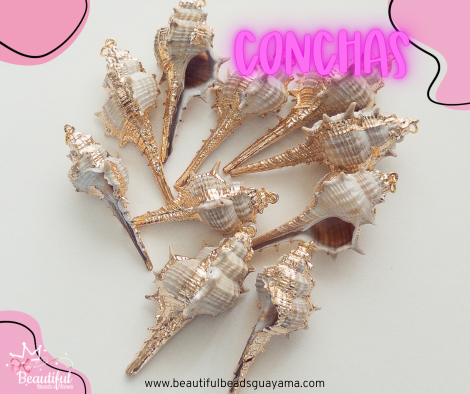 Conch Shell 1pc
